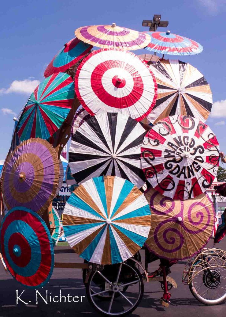 Erie County Fair entertainers