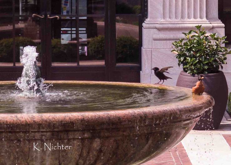 g16 fountain birdbath