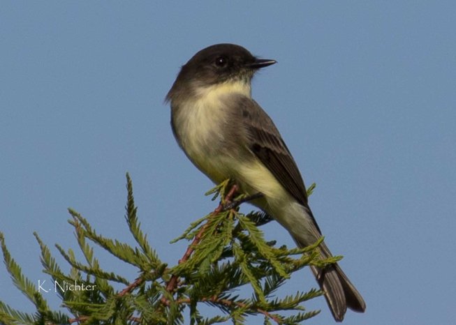 20191016 EAPH Sweetwater