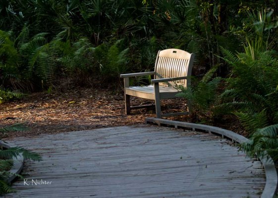 Bench at end of Boardwalk